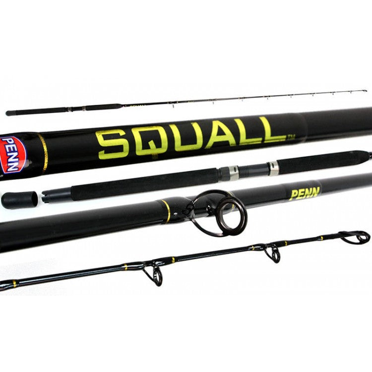 PENN SQUALL 40 STAR DRAG 661LM COMBO 6-10KG