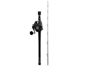 DAIWA LEOBRITZ 300JPY ELECTRIC GAME REEL DAIWA SEA POWER 22 6'3