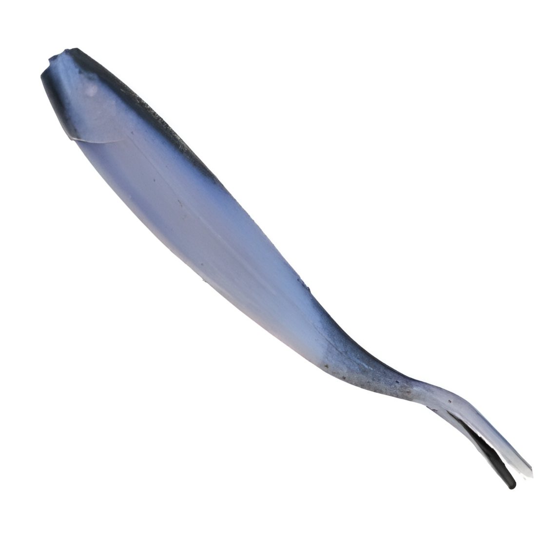 BERKLEY GULP MINNOW 3"
