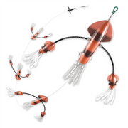 SQUIDNATION FLIPPY FLOPPY TEASER