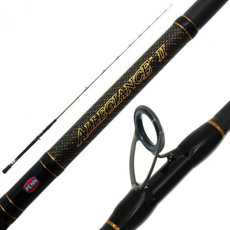 PENN ALLEGIANCE II OVEHEAD JIG ROD PE3-5